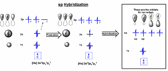 Organic chemistry homework help